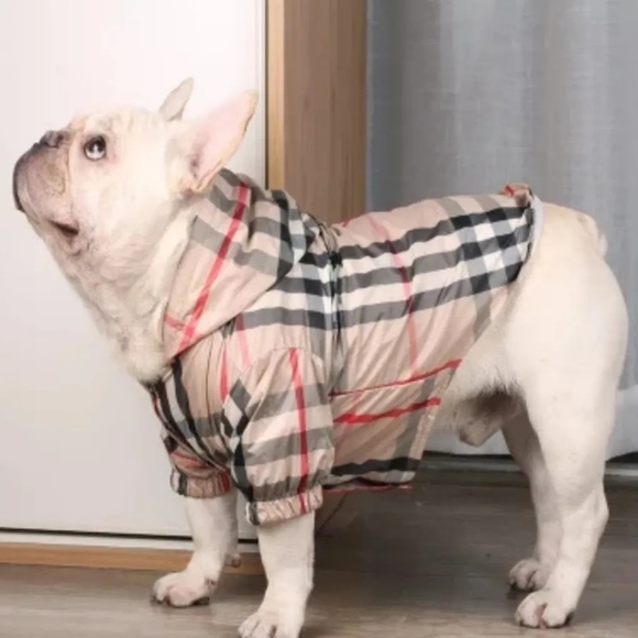 Dog jacket Stripped Windbreaker from FashionedFurBabies.com - Picture 3 of 5